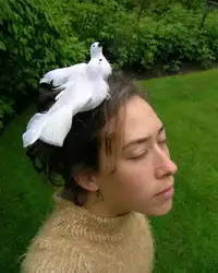 Работы Margot Quan Knight