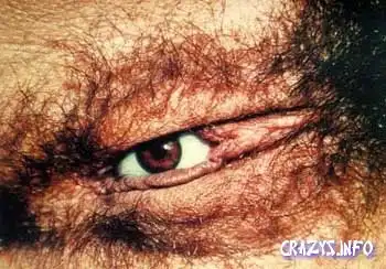 Красивая пилоДка