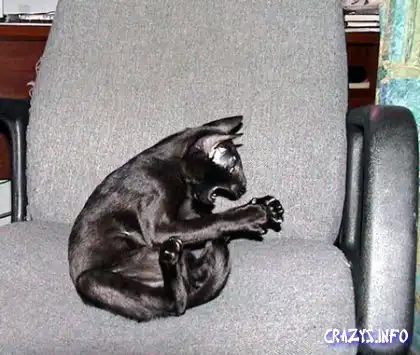 Малая подборка!