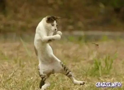 Малая подборка!