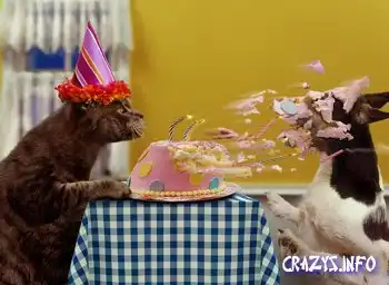 Подборка №2