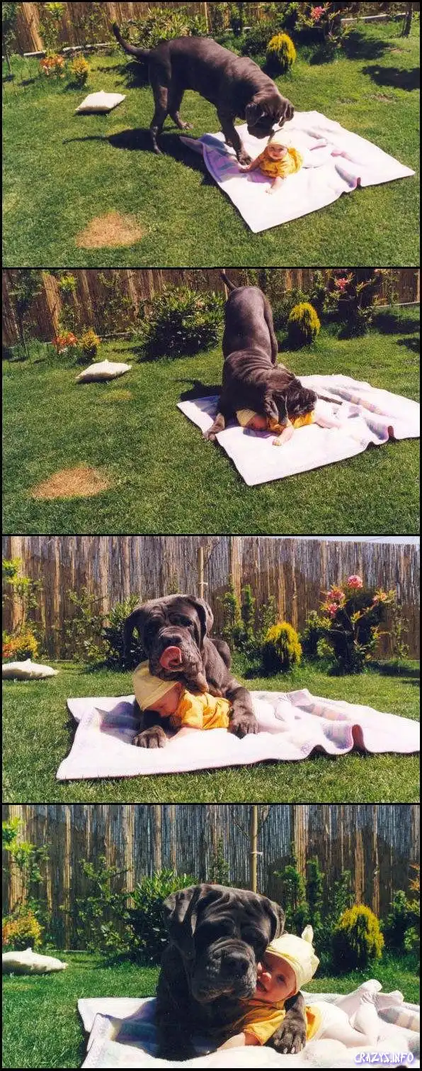 Друзья навеки...