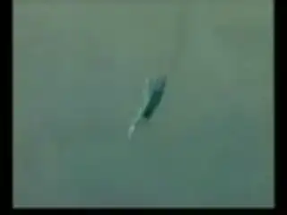 Авиакрушение