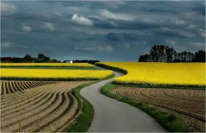 Красивая природа