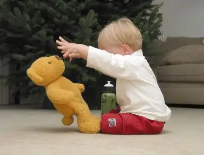 Лечу медведов от преведа