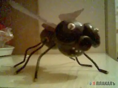 Как я мухами торговал.