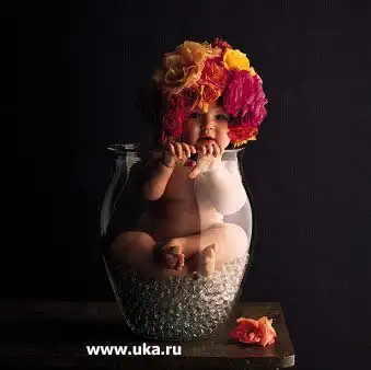 100% позитива !