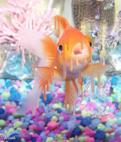 Жара продолжается. Все тает (часть 2)