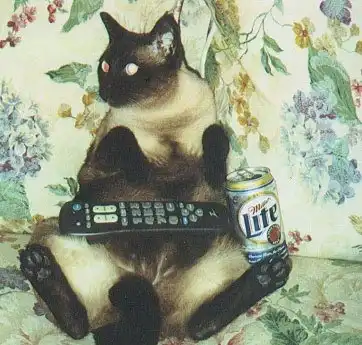 Кошки - ГиперпозитиФФ!