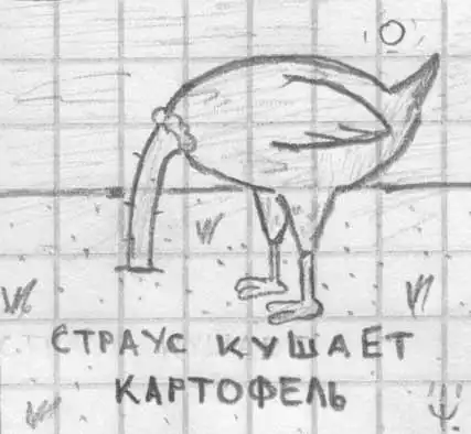 Стёбные рисунки