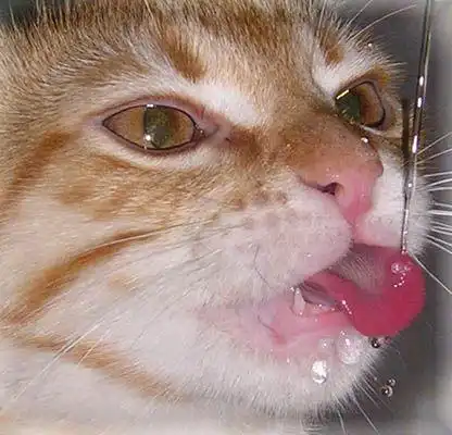 Немного позитива ...