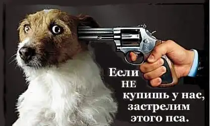 Cмешные картинки