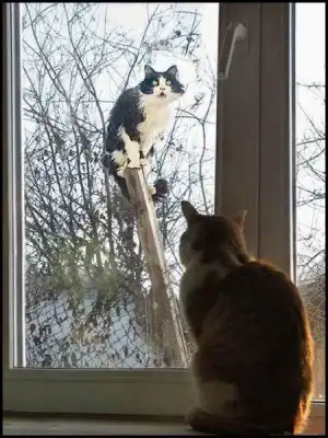 Подборка картинок