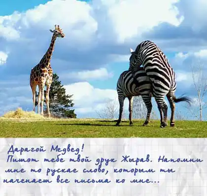 Дорогой медвед ...