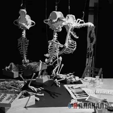 Скелеты мультяшек