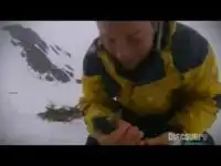 Дискавери ЖЖОТ!