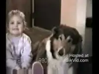 Улыбка собаки