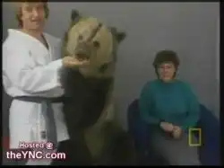 Медведю что-то не понравилось...