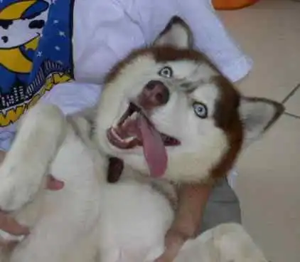 Небольшая подборка