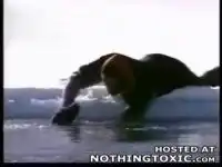 Собака против спасателя