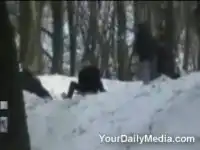 Яишница в снегу