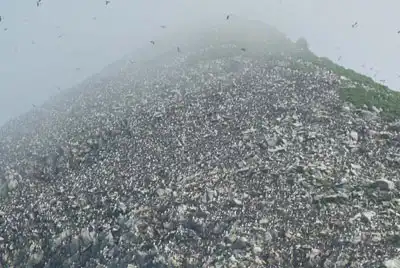 Остров Ионы