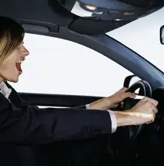 Петербургских лихачей превратят в обезьян.