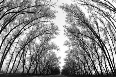 Осенние фото