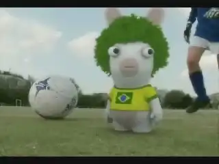 Бразильские кролики