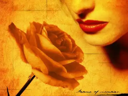 Аромат и его значение!!!!