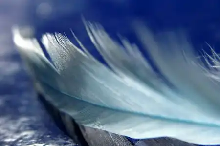 Воздушность, легкость, невесомость