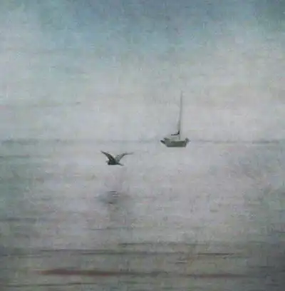 Dark photos by hclay (USA)