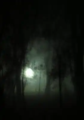 МЕЛАНХОЛИЯ