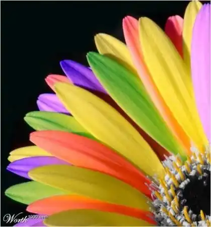 Наша жизнь как радуга