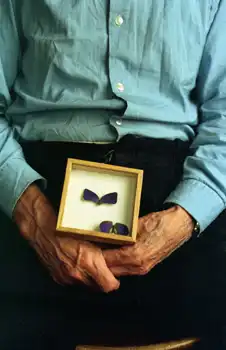 Работы Александра Павлова