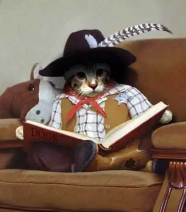 Забавные животные!!!!!