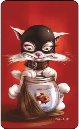 Смешные зверюшки =)