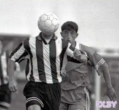 фотоподборка