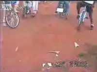 Смертельный номер! Прыжок на мопеде