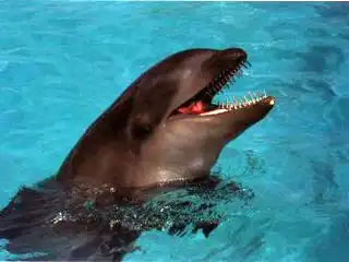 Мутанты часть 2