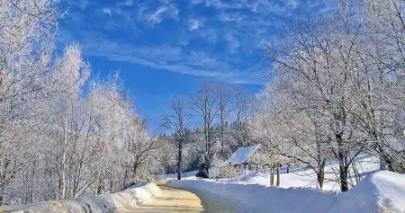 Музыкальная зима