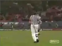 Замаскировался под судью, чтобы пробежать голым по полю