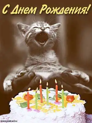 Лиличка, с Днем Рождения!