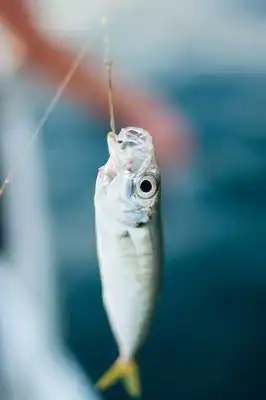 Лиличка, с Днем Рождения!