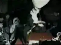 Собаки испортили детский праздник