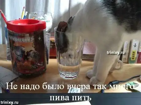 О чем думают животные. Мегапозитив