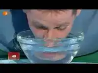 Кто быстрей пьет: собака или человек?