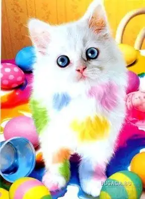 Ярко и позитивно! Часть 2-ая