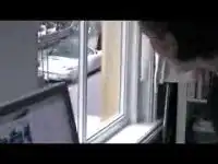 Голландский хакер. Случай с Порше