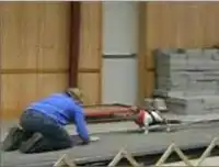 Собака-богатырь